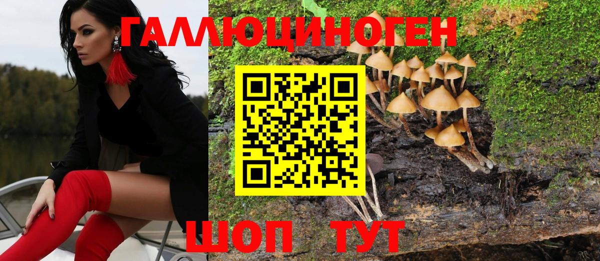 Псилоцибиновые грибы GOLDEN TEACHER  Вход с VPN  купить наркотики цена  Тула 